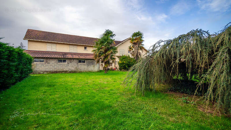 Appartement à DENGUIN