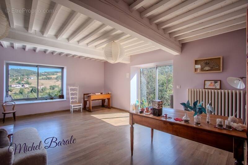 Ferme rénovée 205 m² – 6 chambres – terrain 16 000 m² – géothermie – vue – Montromant (69) - photo 6