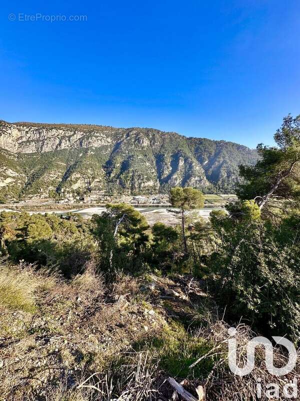 Terrain 3984 m² à Gilette  - photo 3
