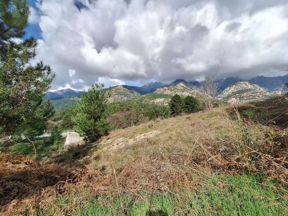Maison d'hôtes BOCOGNANO - photo 2