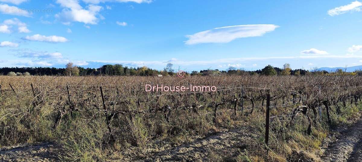 Terrain à TORREILLES