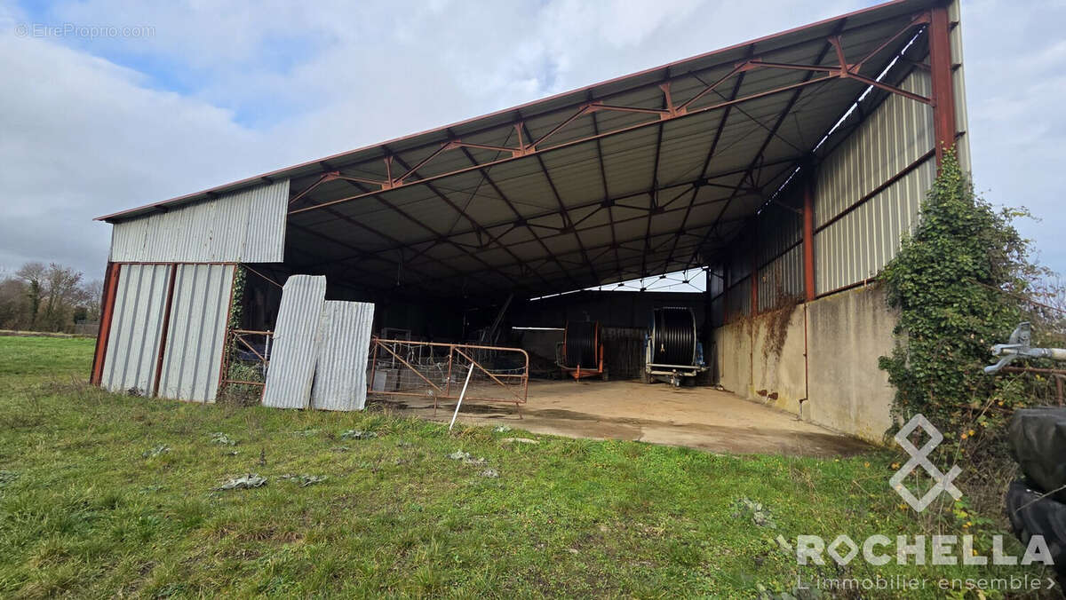 Appartement à PAILLE