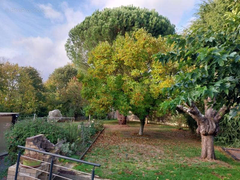 Maison à SAINT-SATURNIN
