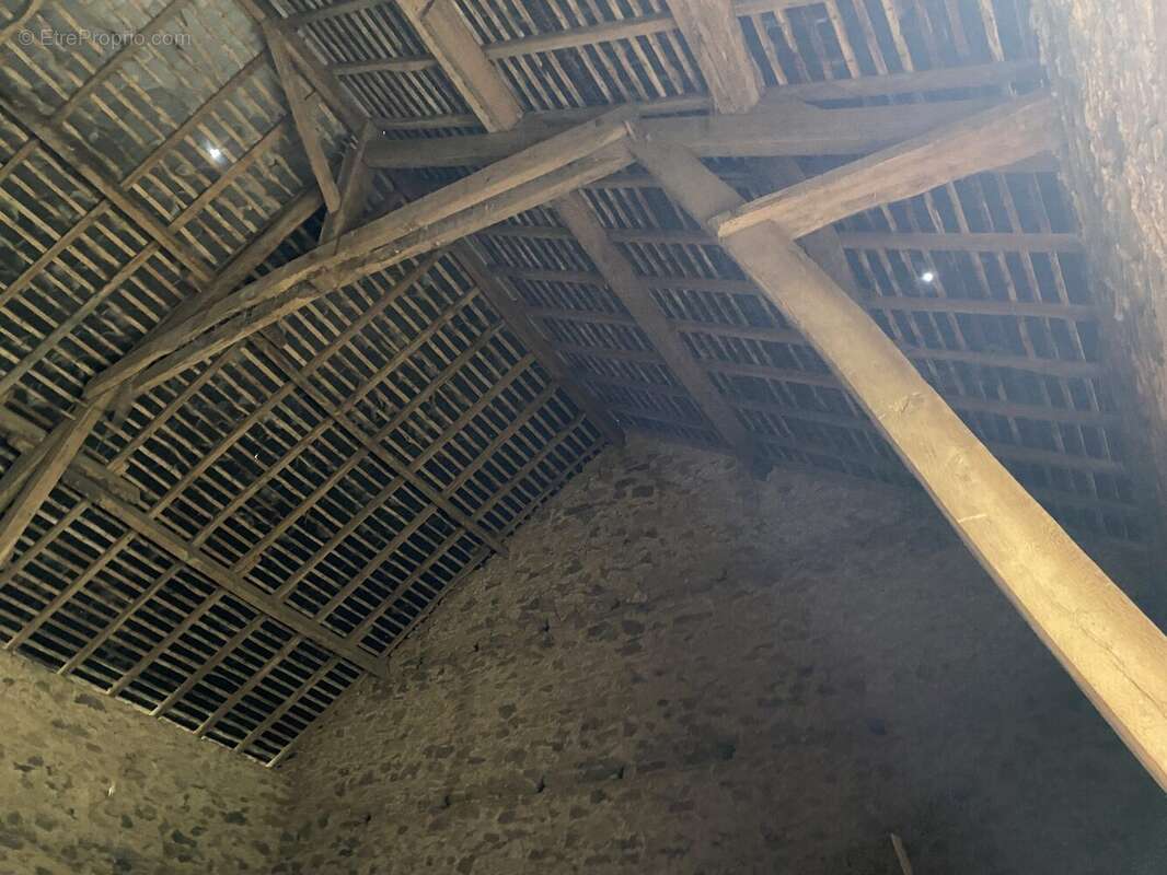 Terrain à NEUVIC-ENTIER