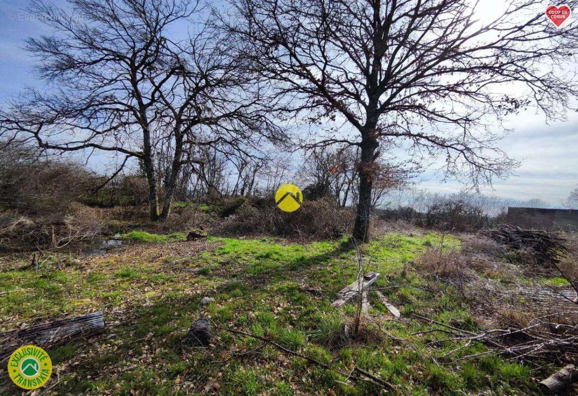 Terrain à JOUET-SUR-L'AUBOIS