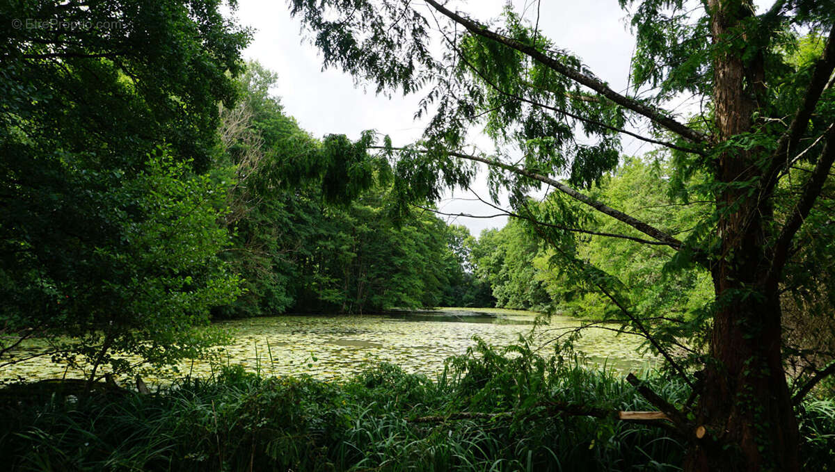 Maison à CHANCEAUX-PRES-LOCHES