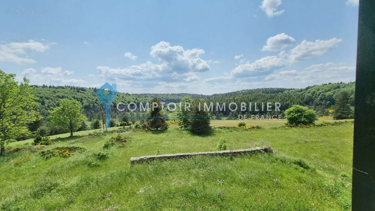 Dépt.(07) - A VENDRE Secteur Le LAC D'ISSARLES - Propriété de 56 ha avec Maison de 270 m2 et Ferme de 340 m2 - photo 10