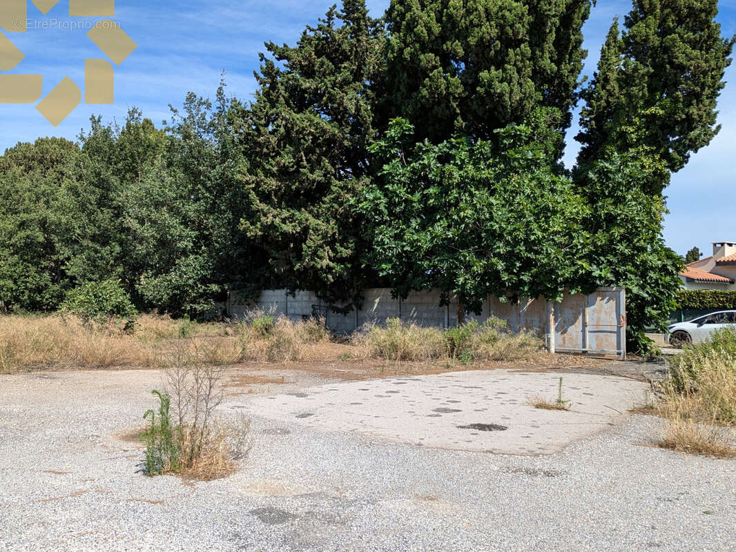 Terrain à PEZILLA-LA-RIVIERE