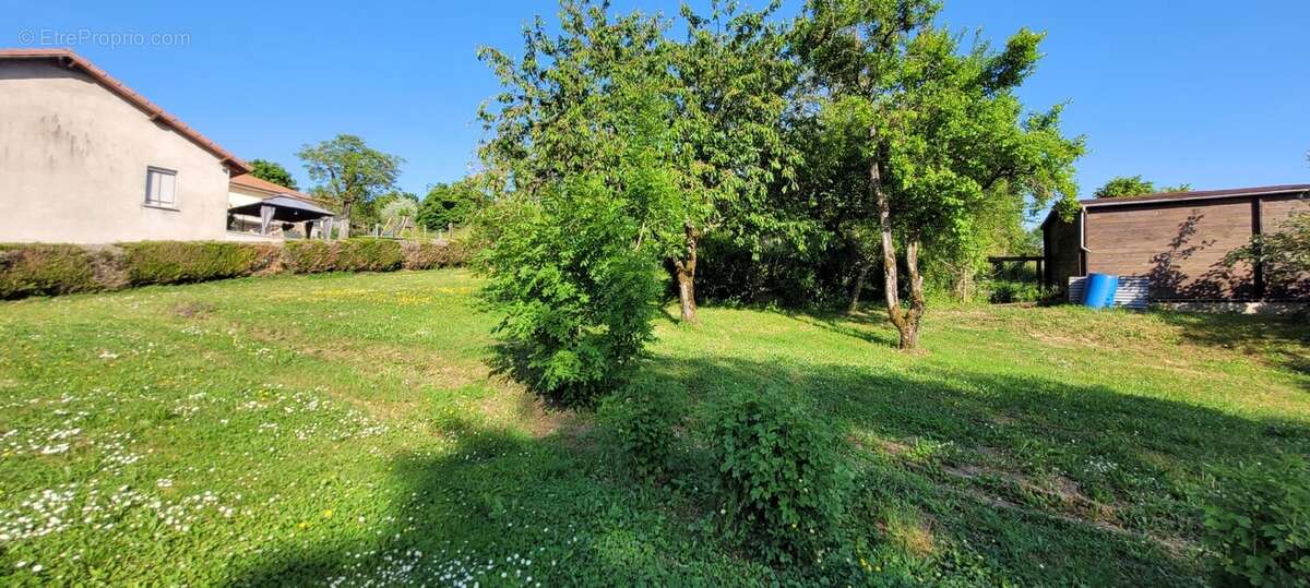 Terrain à CHATEAU-SALINS