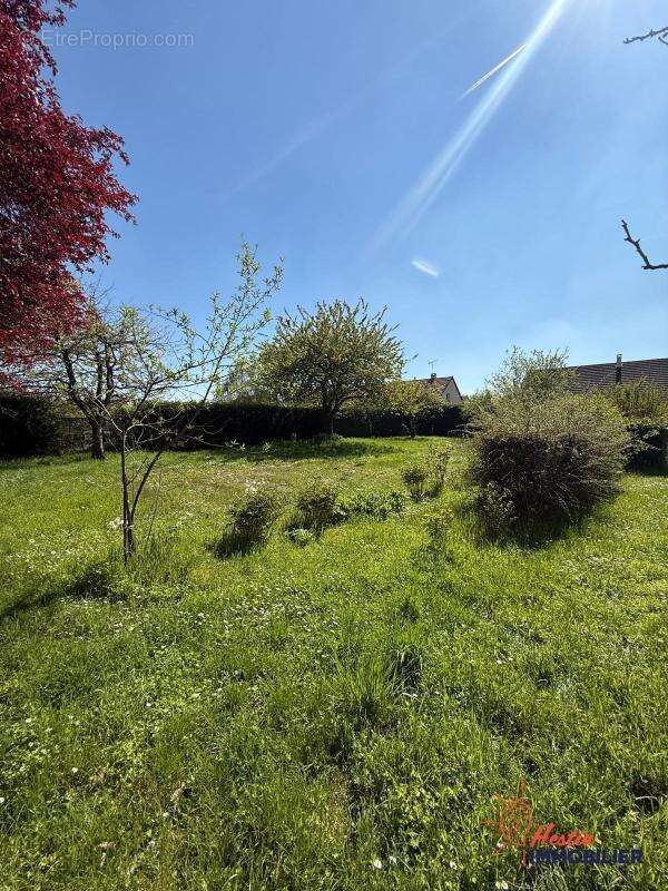 Maison de campagne - photo 9