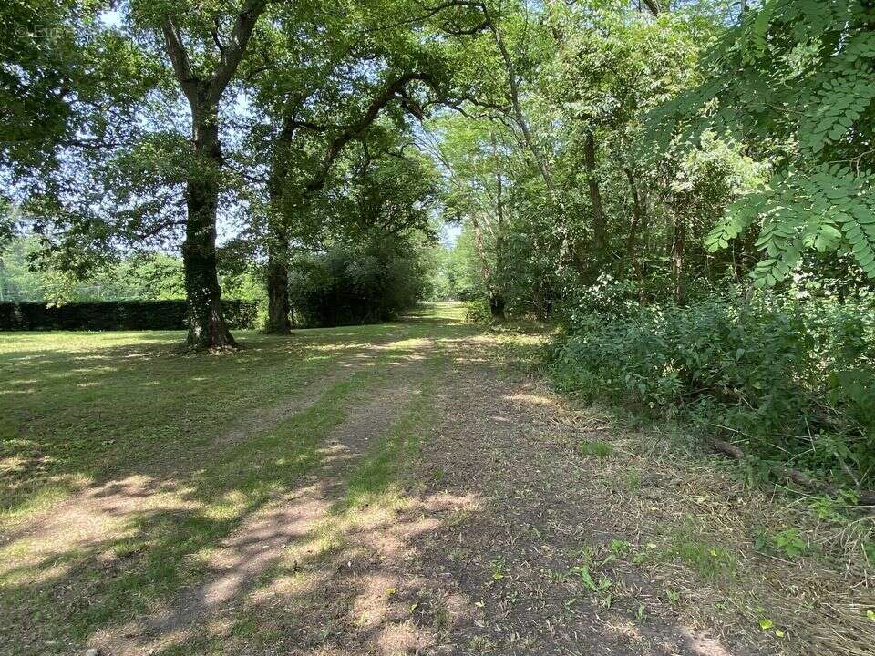 Maison de caractère en pierre 280 m² terrain de 4 hectares - photo 19