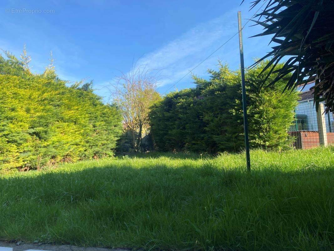 Maison à MONTIGNY-EN-GOHELLE