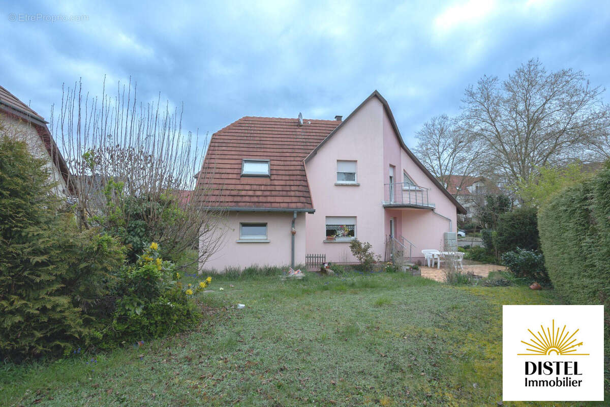 Maison à NIEDERHAUSBERGEN