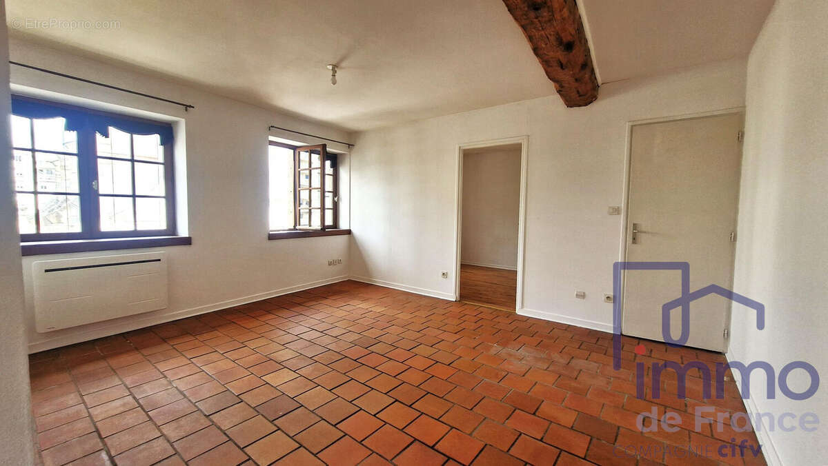 SALON - Appartement à SAINT-ETIENNE