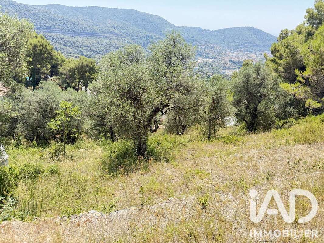 Terrain 1370 m² à Drap  - photo 2