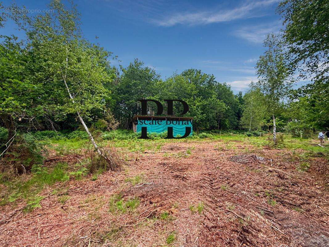 Terrain à VENDAYS-MONTALIVET