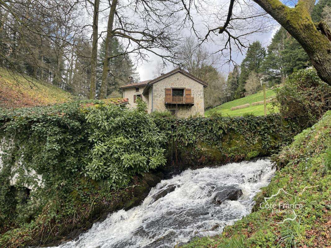 Ancien moulin avec droit d'eau et 2,2 hectares du terrain, C - photo 12