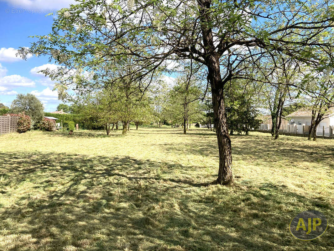 Terrain à SAINT-MEDARD-EN-JALLES