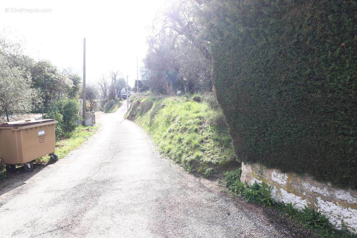 Terrain à CONTES