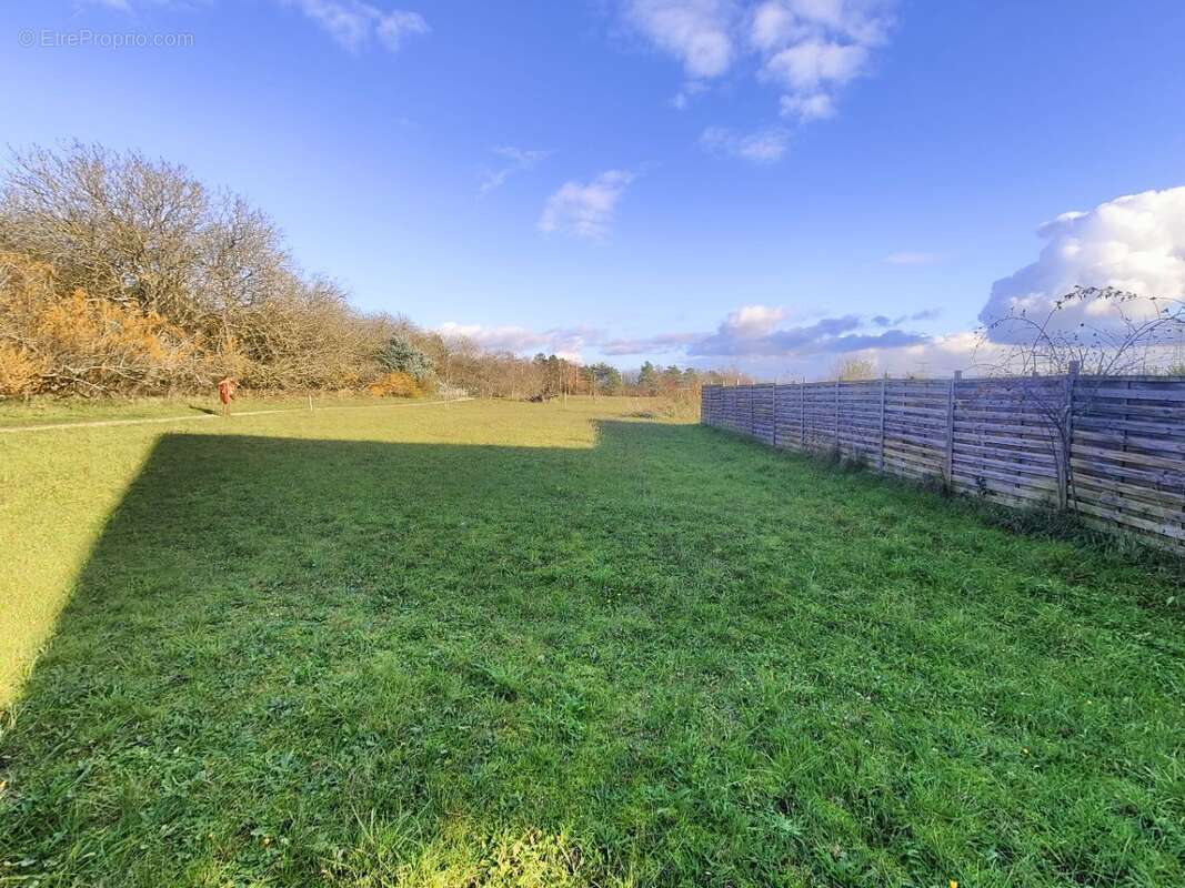 Terrain à PITHIVIERS