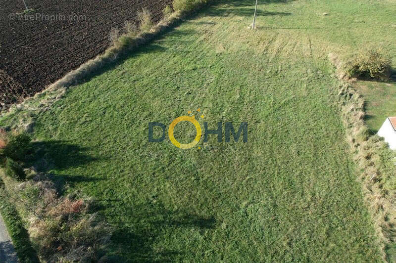 Terrain à SAINT-PAULIEN