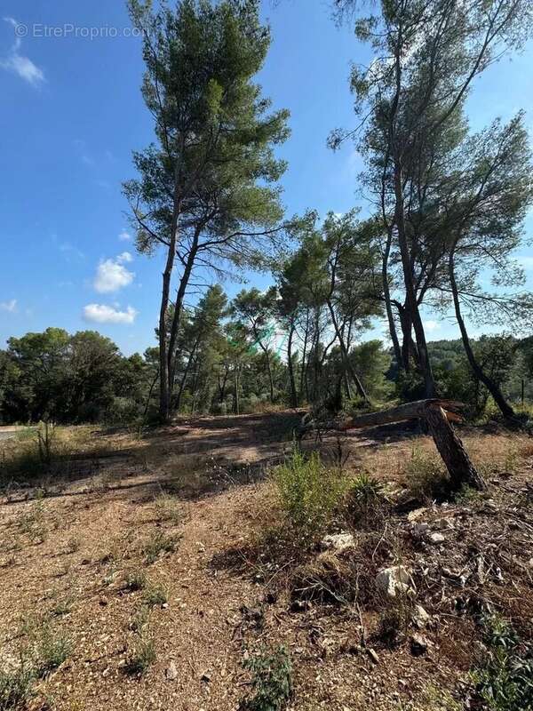 Terrain à ROQUEFORT-LES-PINS