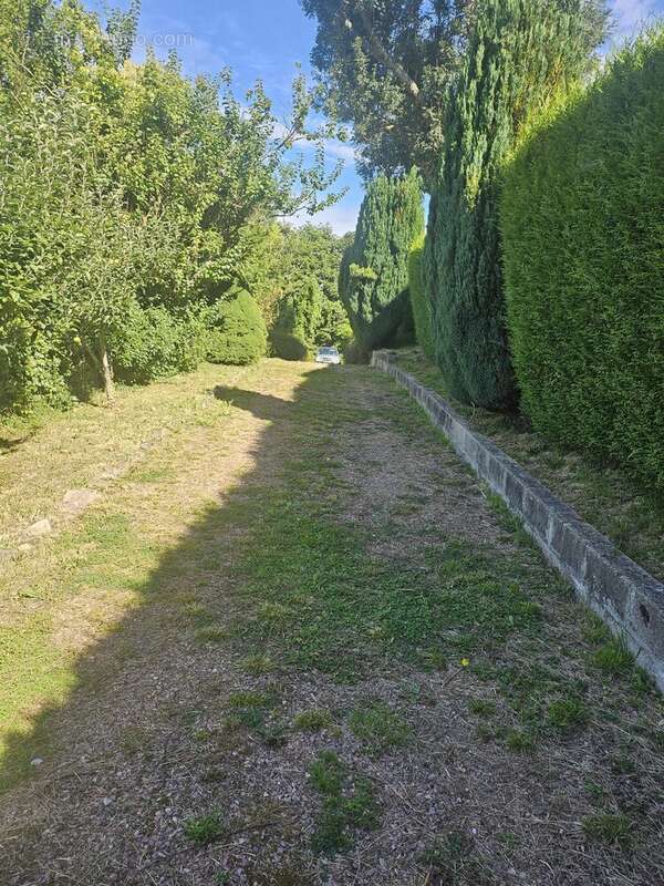 Terrain à MANNEVILLE-LA-PIPARD