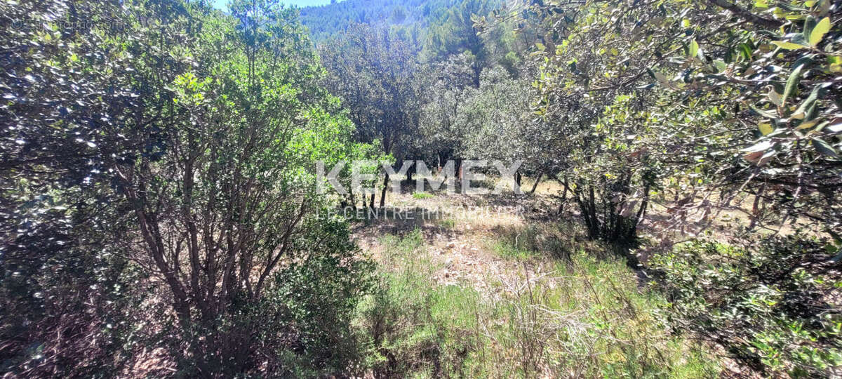 Terrain à SOLLIES-TOUCAS