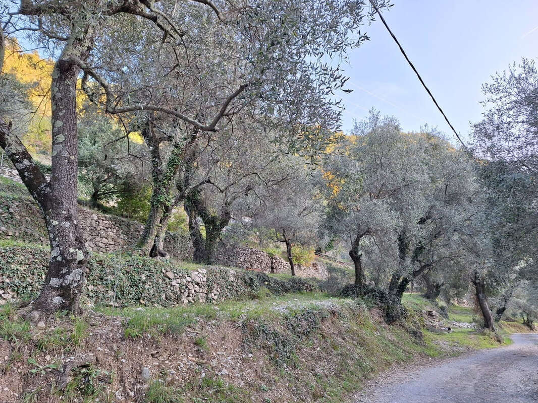 Maison à BREIL-SUR-ROYA
