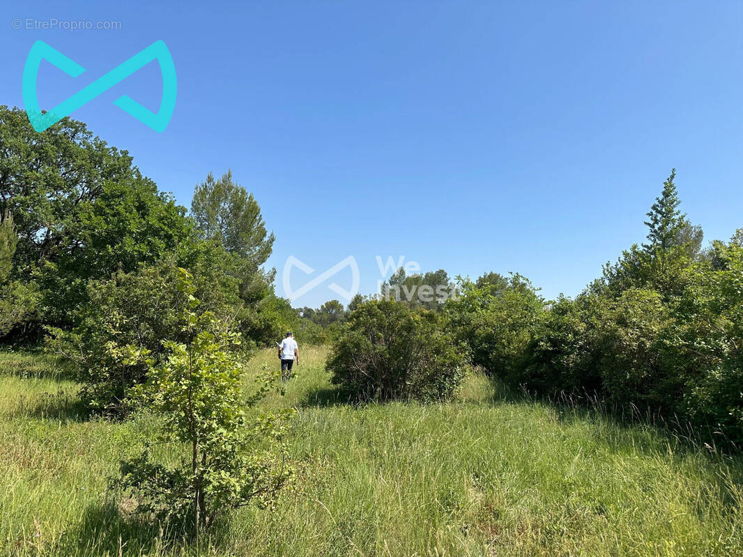 Terrain à ASSAS