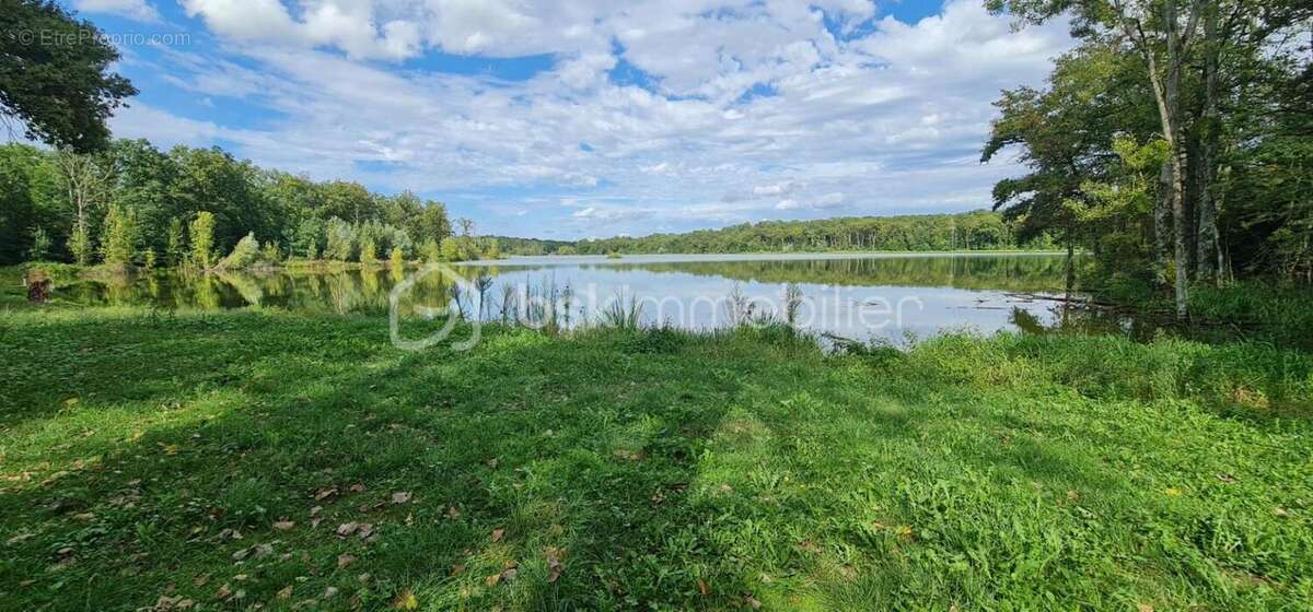 TERRAIN de 240 000 m² - photo 6