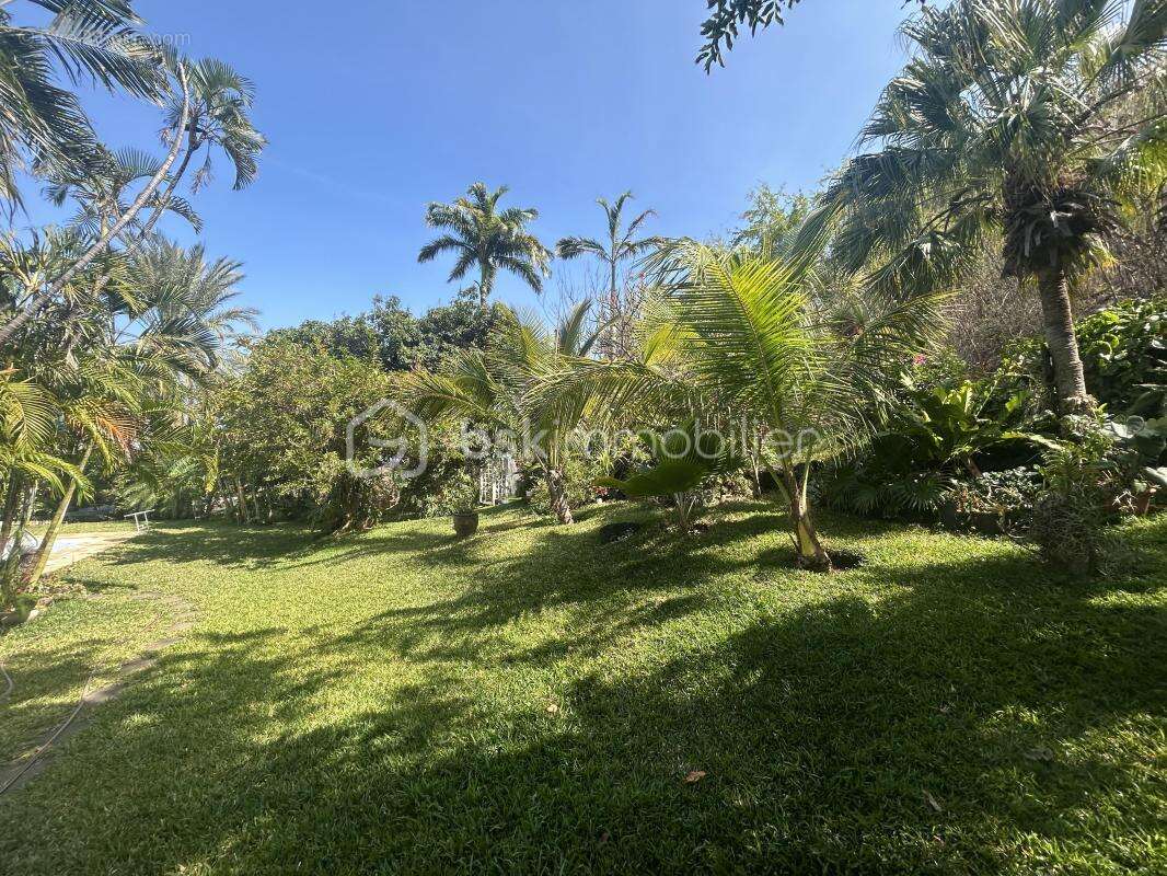 Villa à Saint Gilles les Bains (Boucan Canot) - photo 4