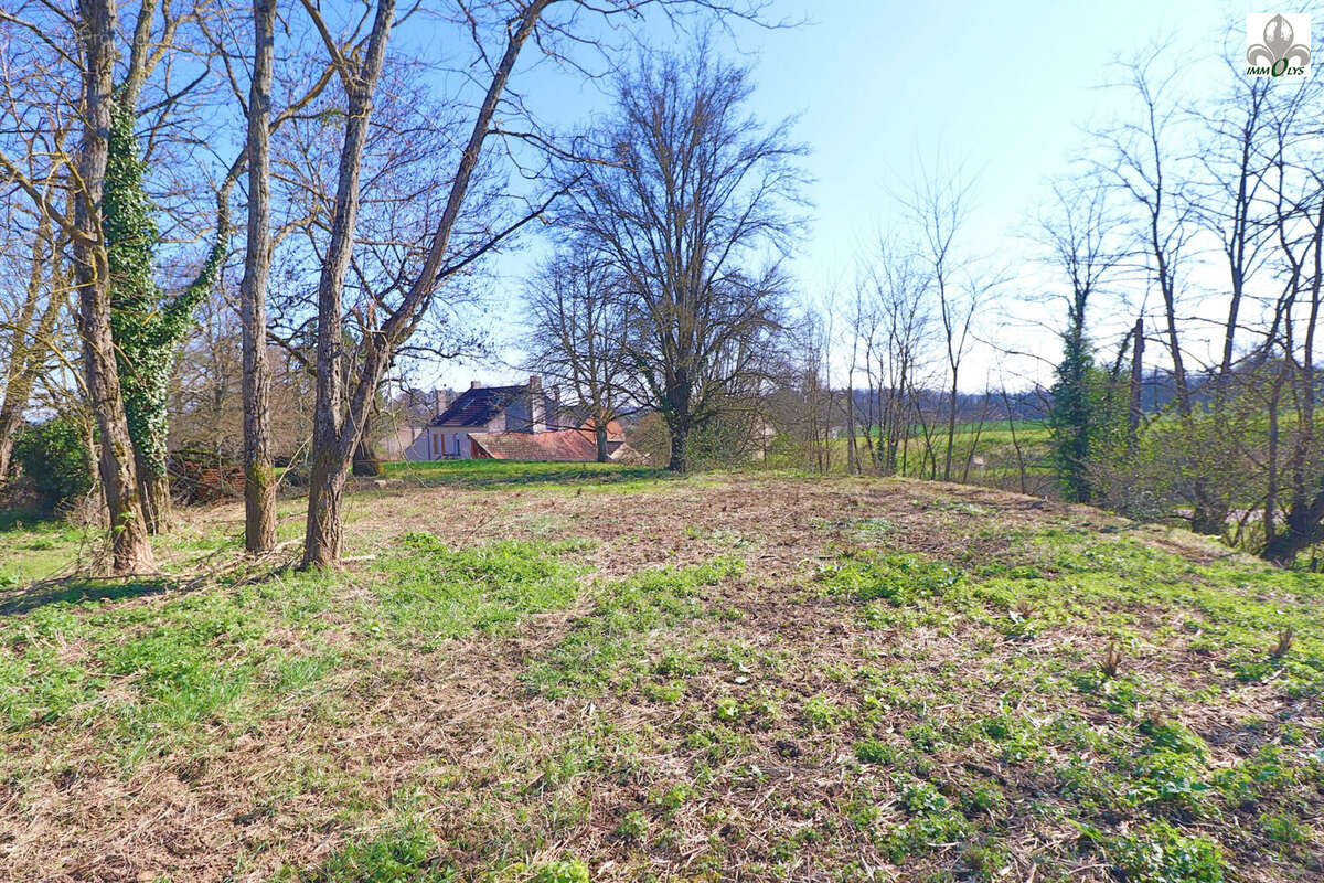 Terrain à AUVILLARS-SUR-SAONE
