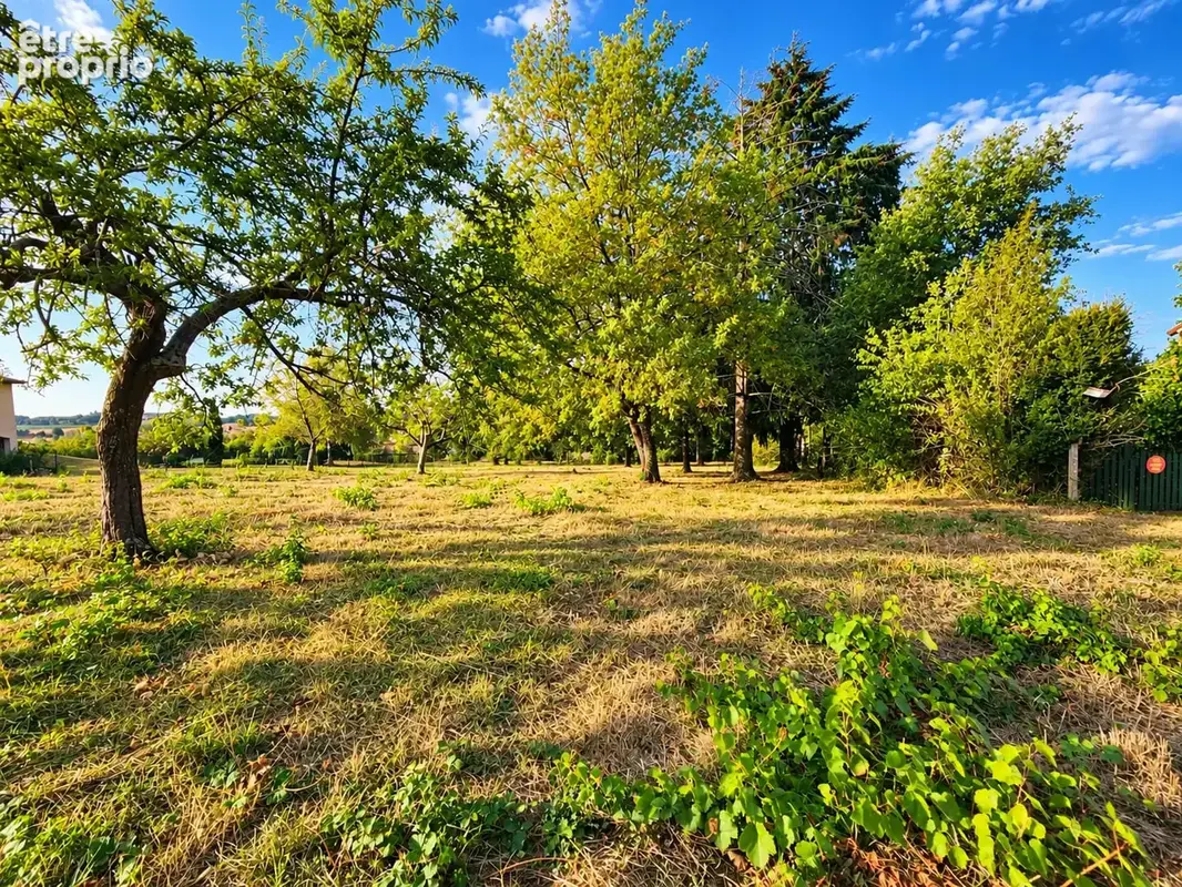 Terrain 1 225 m² à vendre à Rosieres (81400) - photo 4