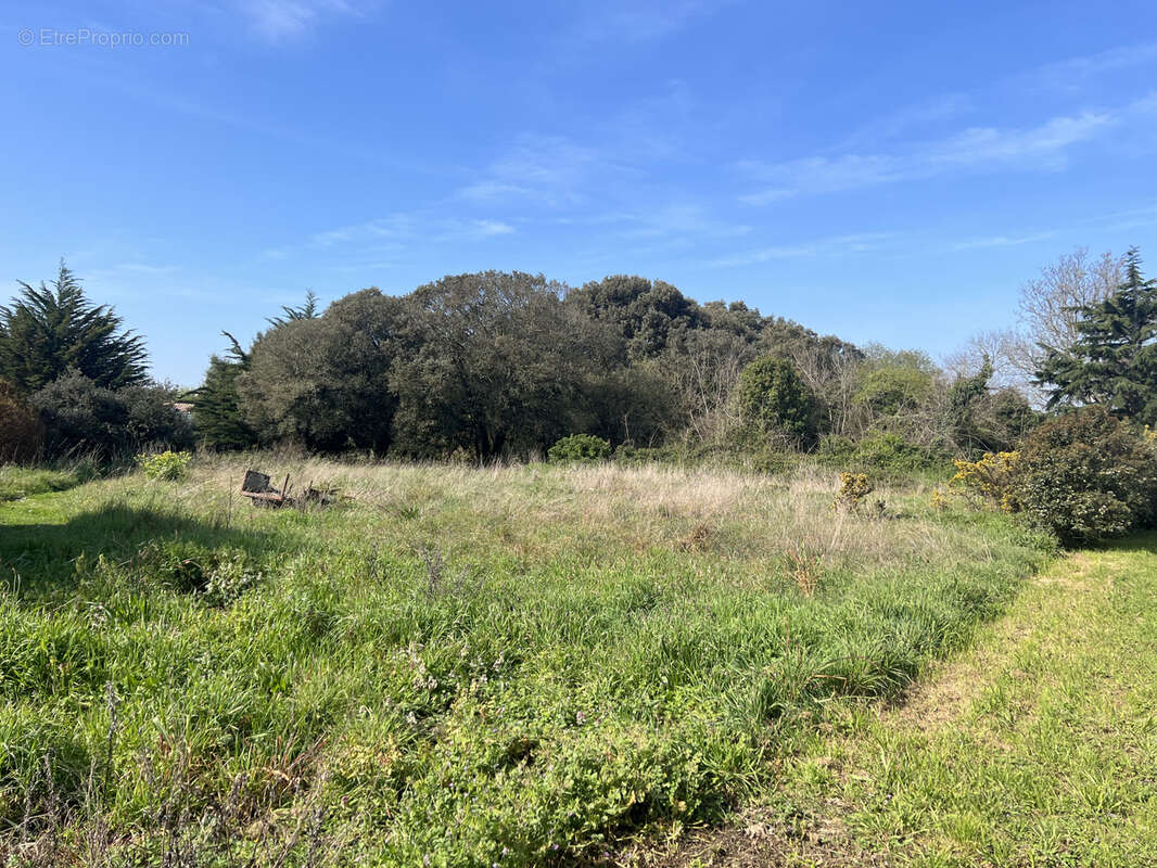 Terrain à L'ILE-D'YEU