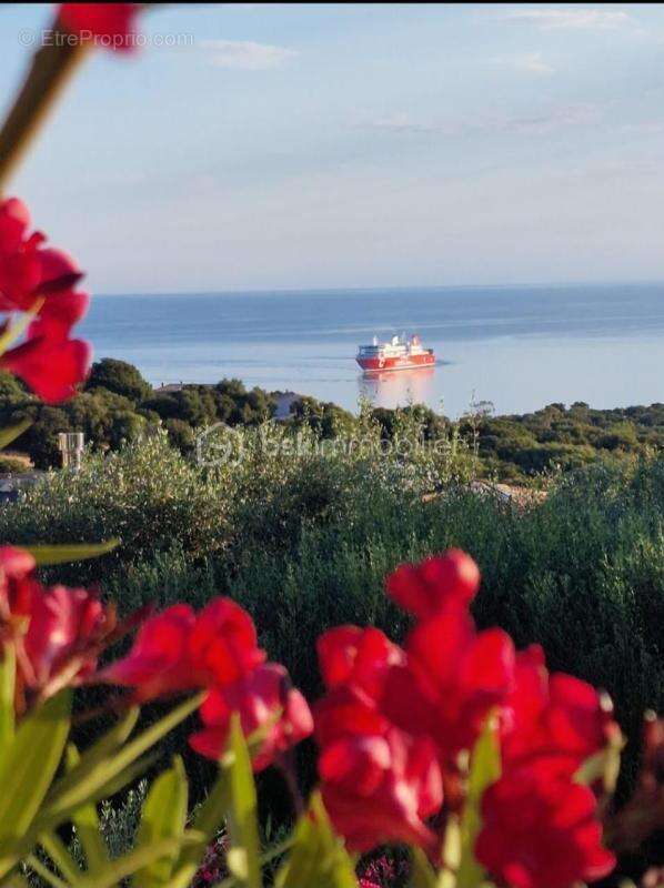 Villa avec vue mer et Cap Corse, piscine, appartement indépendant – Monticello - photo 3