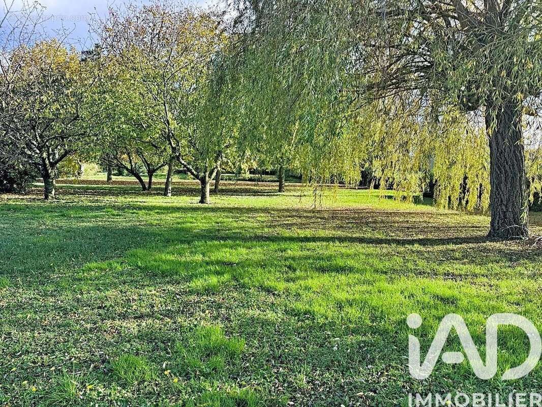 Photo 5 - Terrain à AMBONIL