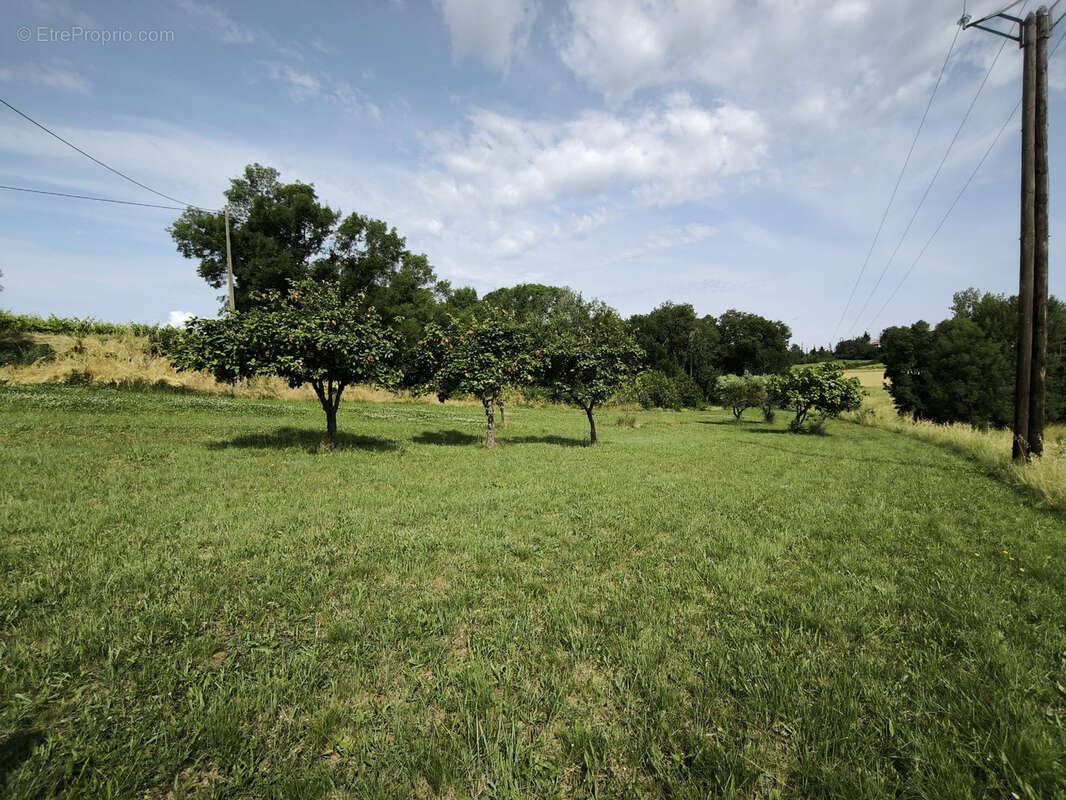 Maison à SAINT-HILAIRE-DE-BRETHMAS