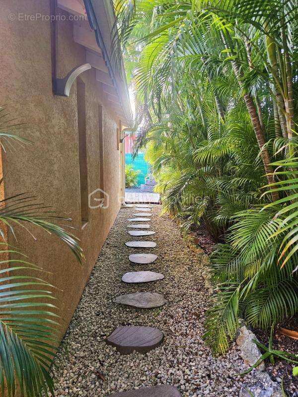 Maison à SAINT-FRANCOIS