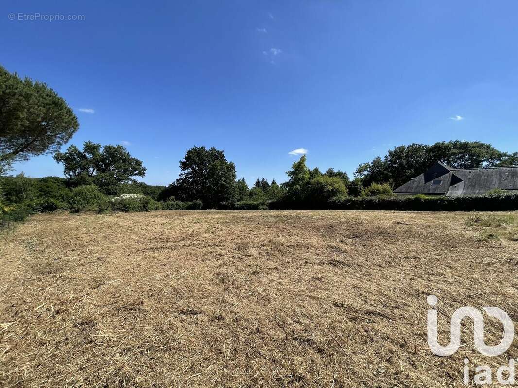 Photo 3 - Terrain à BETTON