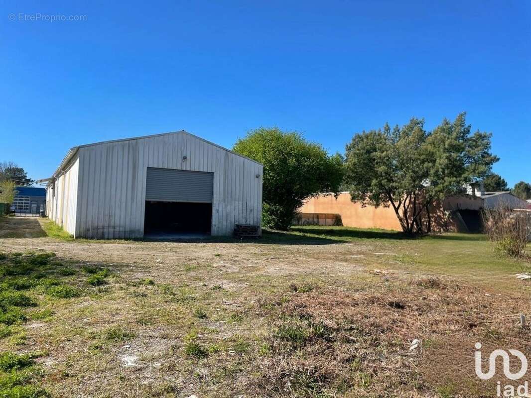 Photo 2 - Commerce à LA TESTE-DE-BUCH