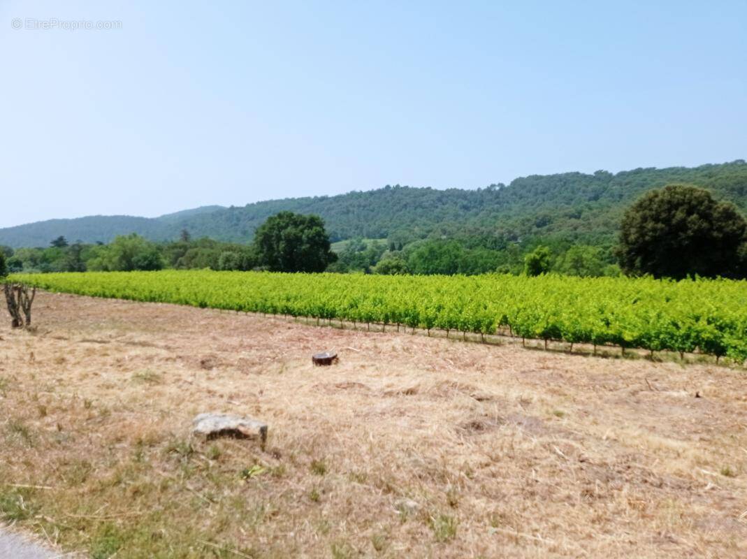 Terrain à SABRAN