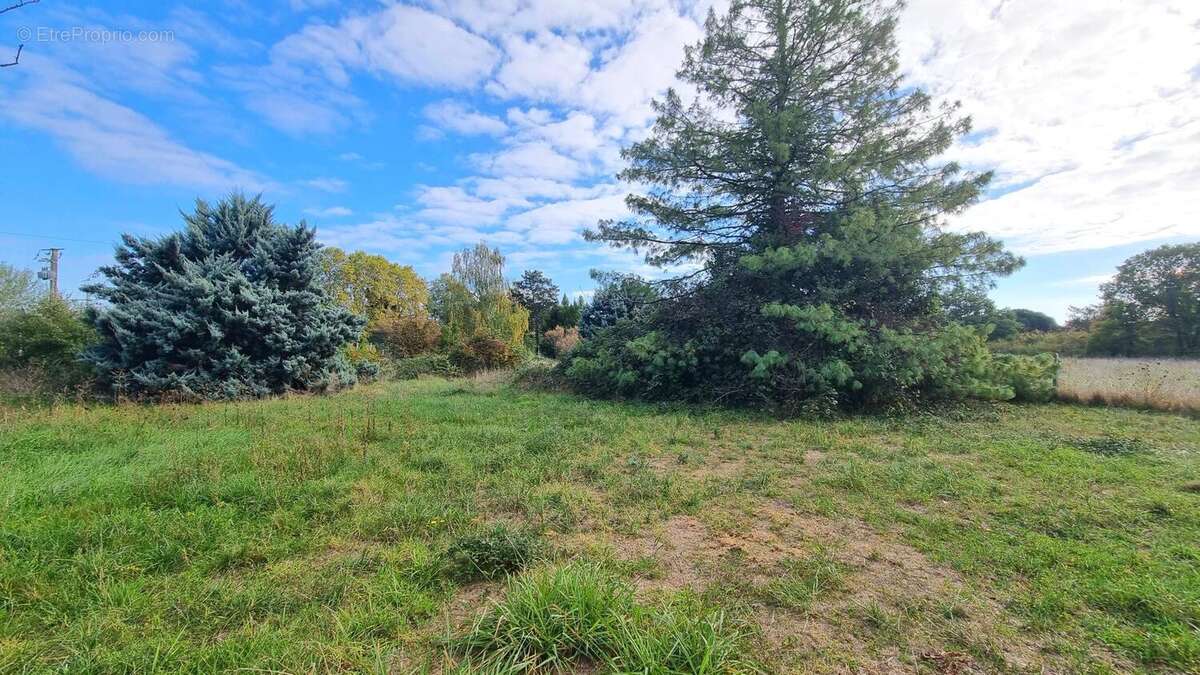 Maison à LA VILLE-DIEU-DU-TEMPLE