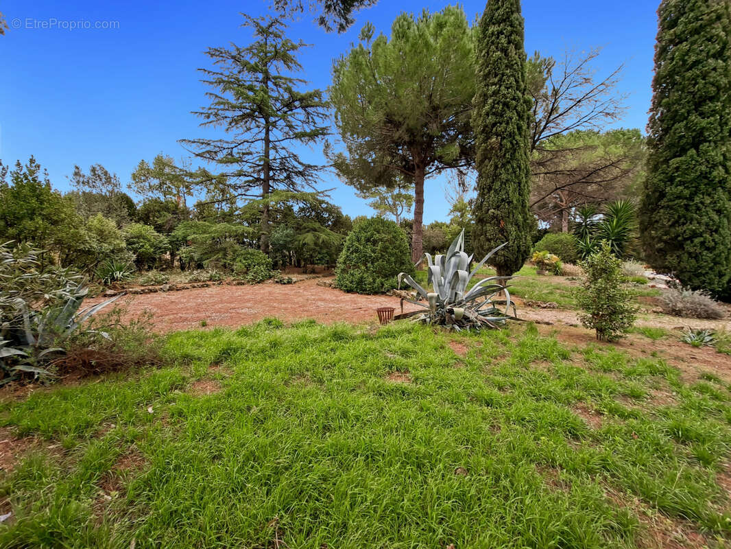 Terrain à CAZOULS-LES-BEZIERS