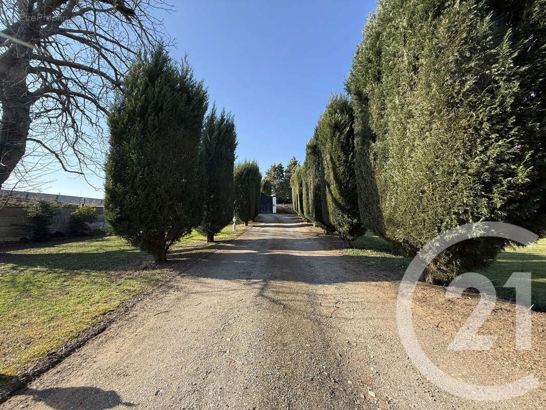 Maison à VILLENEUVE-SUR-ALLIER