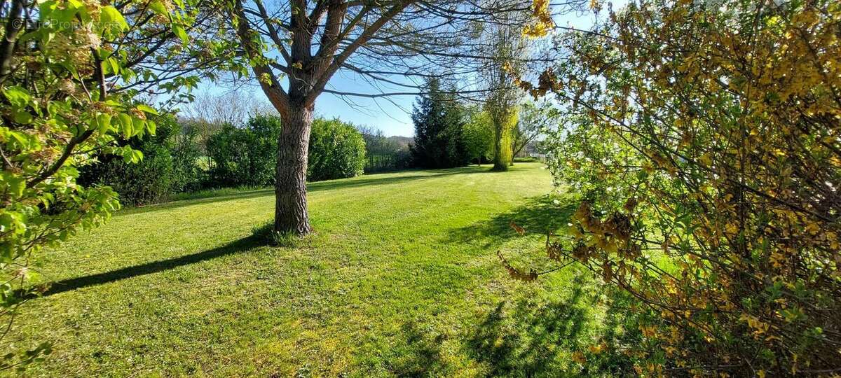 Terrain à COUR-ET-BUIS