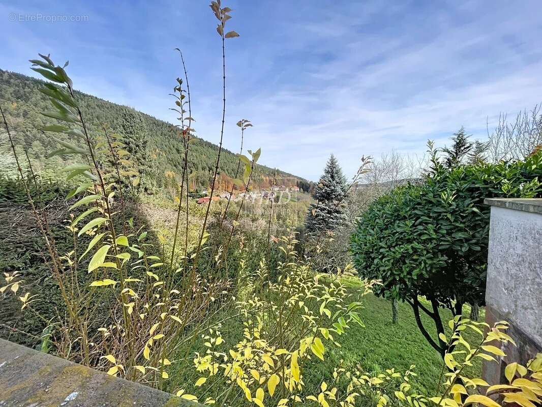 Maison à WANGENBOURG-ENGENTHAL