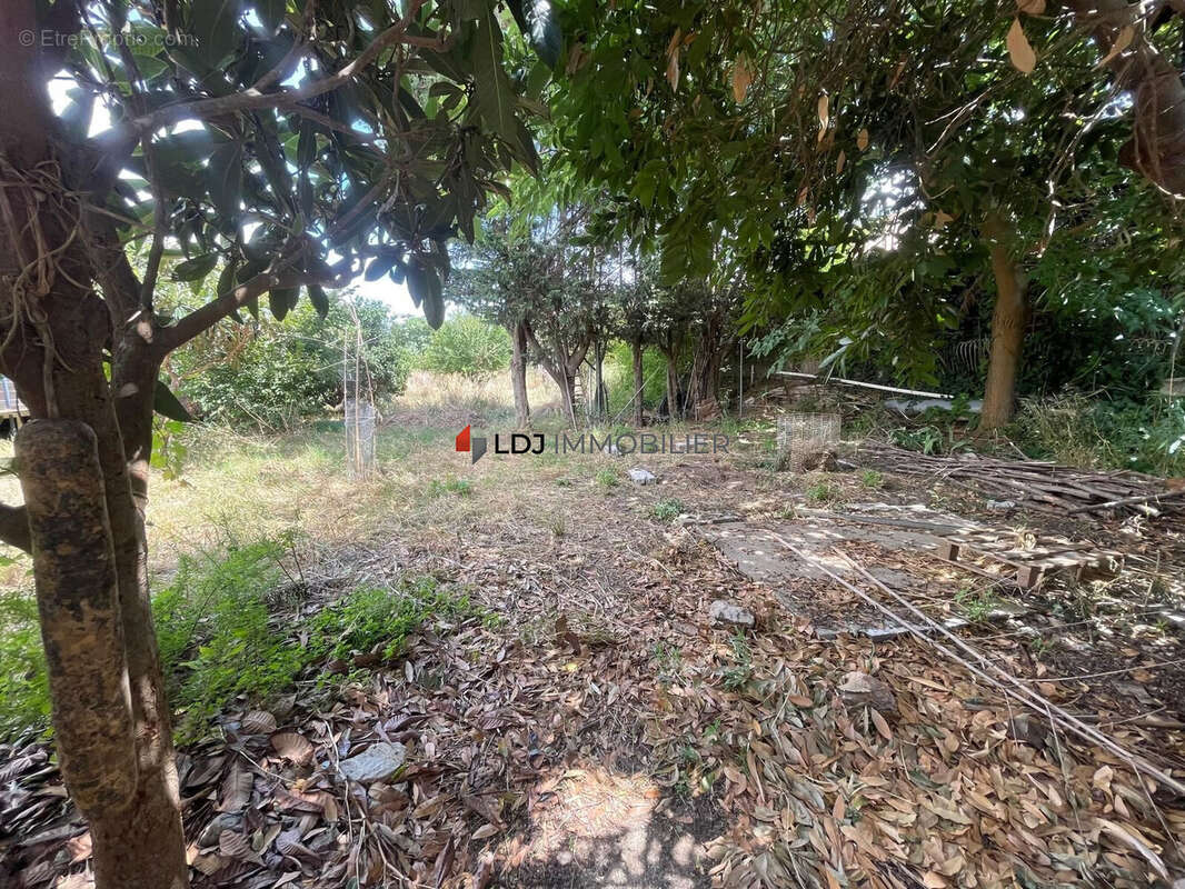 Maison à SAINT-LAURENT-DE-LA-SALANQUE