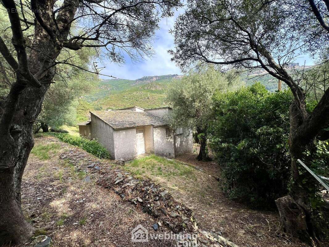 Maison 90 m² à Brando  - photo 2