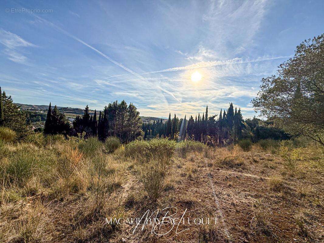 Terrain à LIMOUX